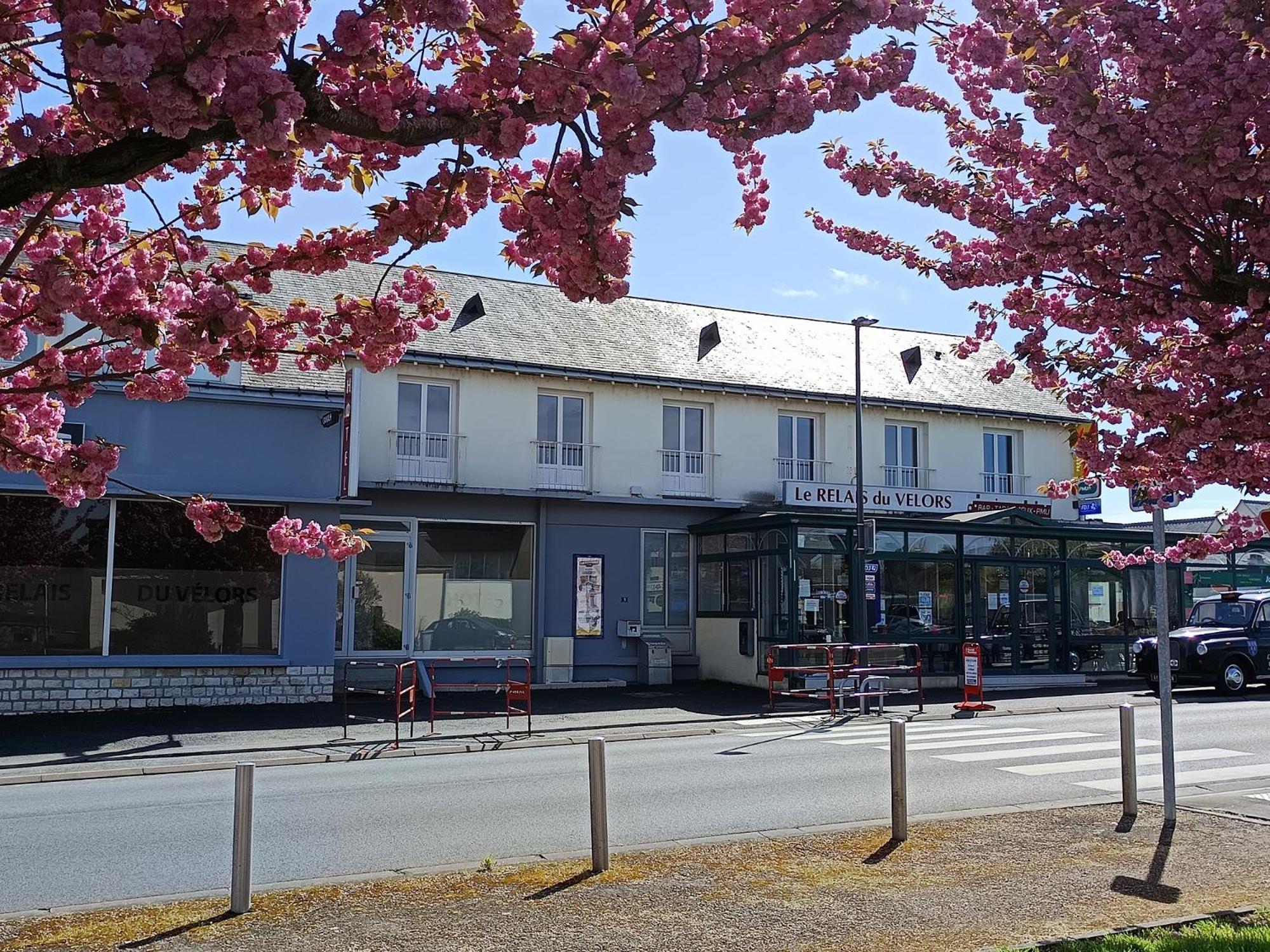 Hotel Le Relais Du Velors Beaumont-en-Véron Exteriér fotografie